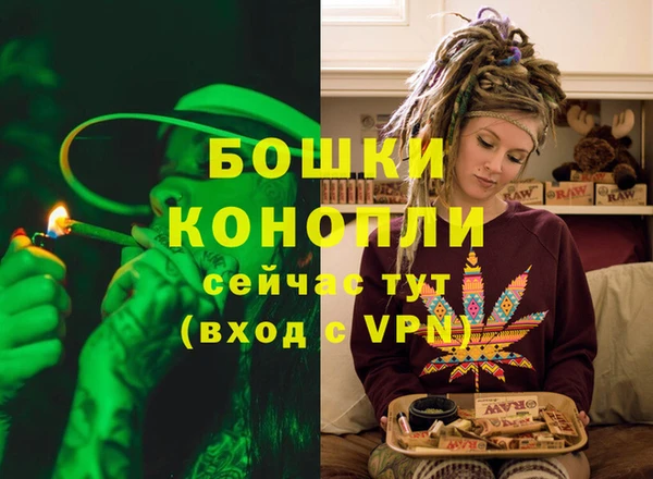 бошки Абаза
