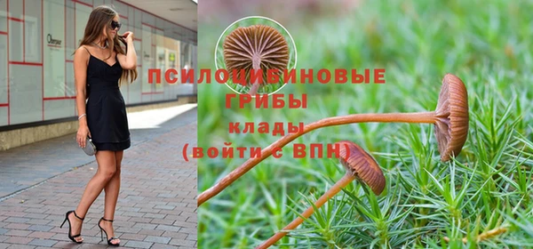 бошки Абаза