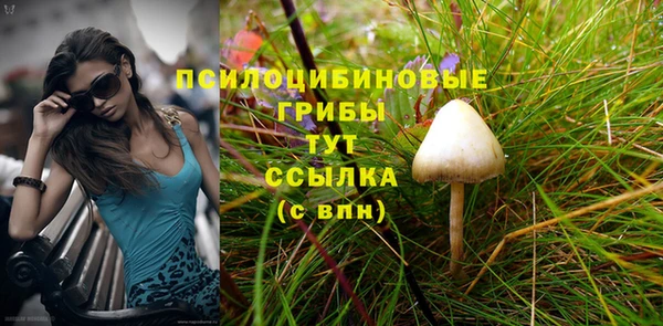 амф Абдулино